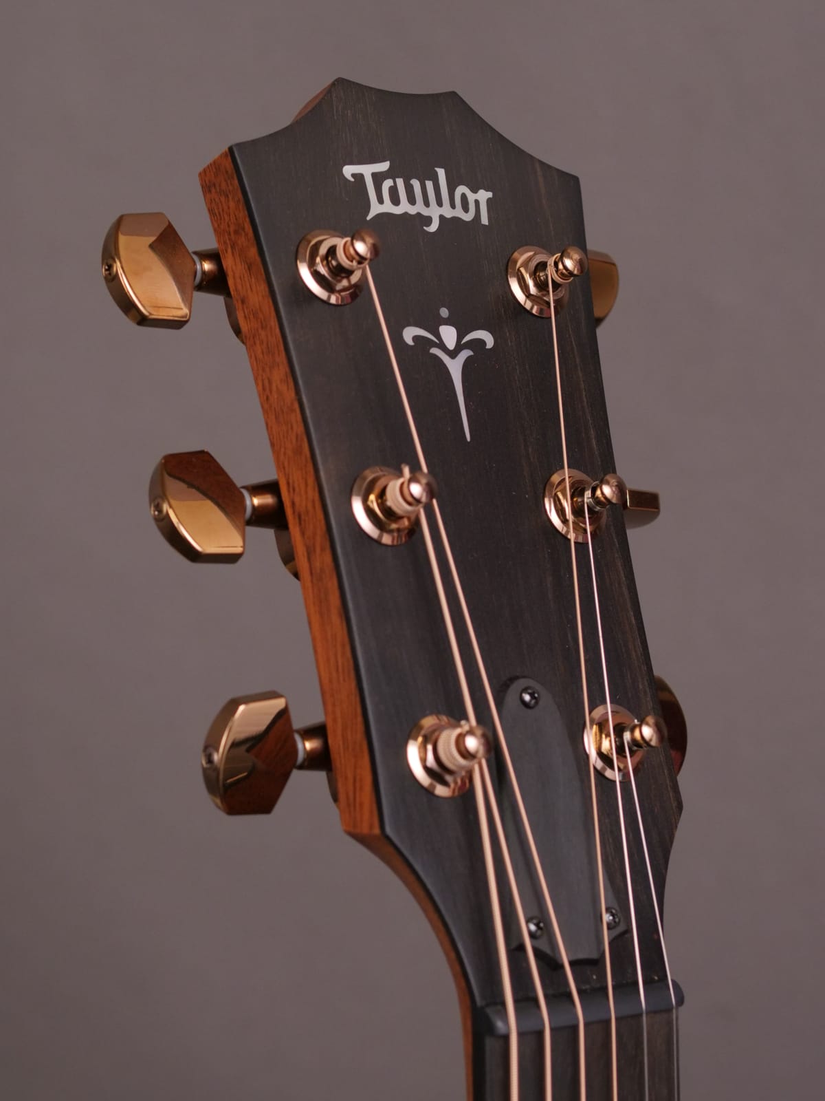 Taylor 724ce - Hearts' Home Acoustics